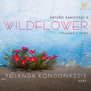Album artwork from Yolanda Kondonassis's album "Wildflower"